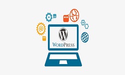 Development of custom Wordpress themes